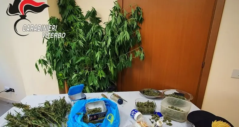 Faleria: in casa un laboratorio per la produzione di droga