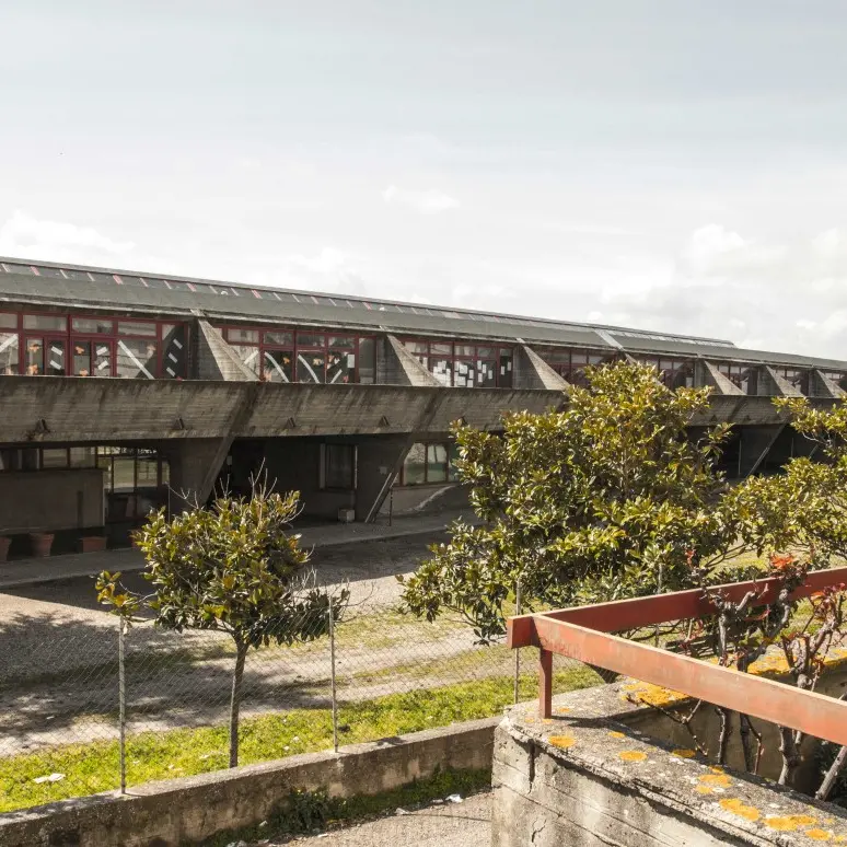 Dimensionamento scolastico, il Tar salva il Carmine di Viterbo