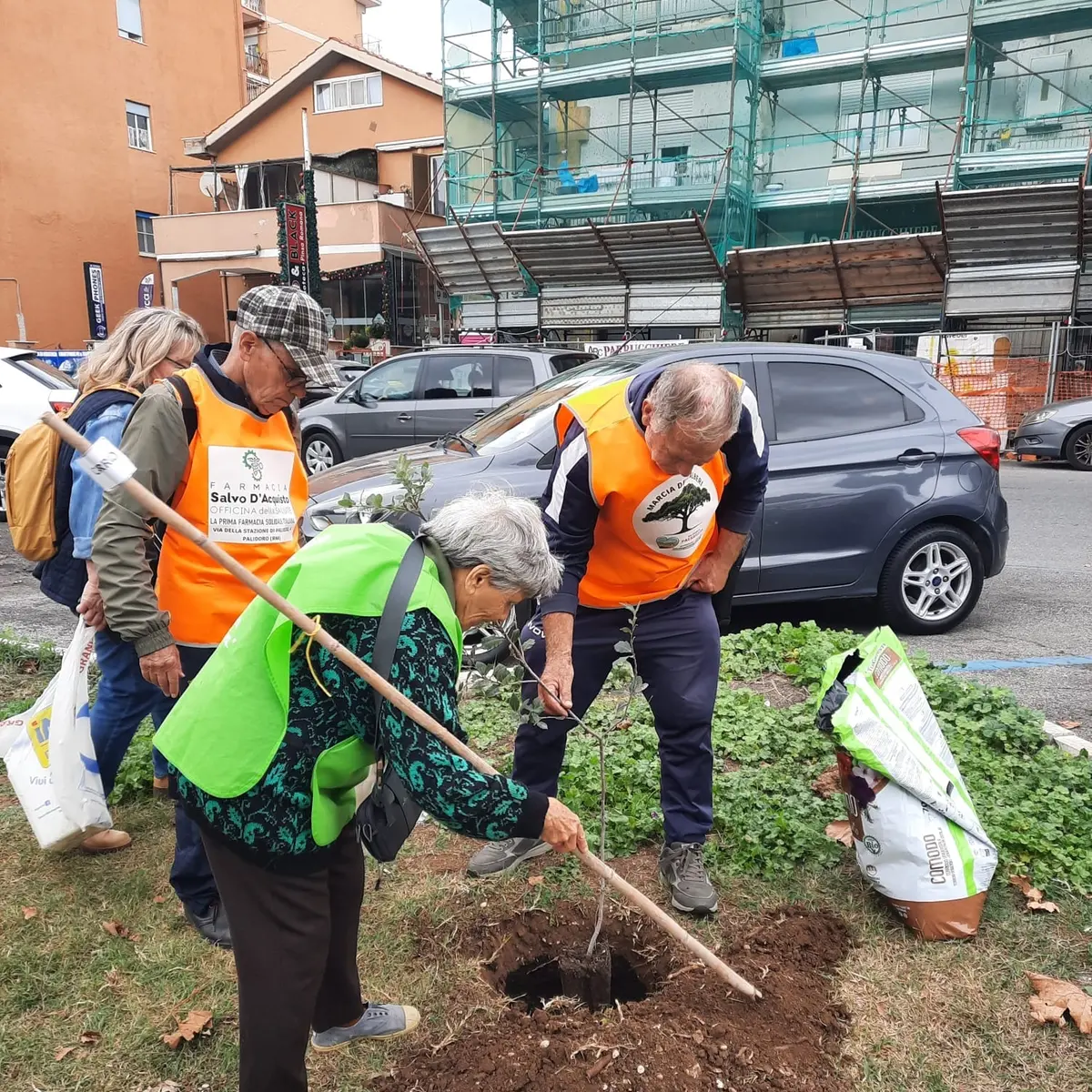 Nuove piante cresceranno: al via la 10° edizione della “Marcia degli alberi”