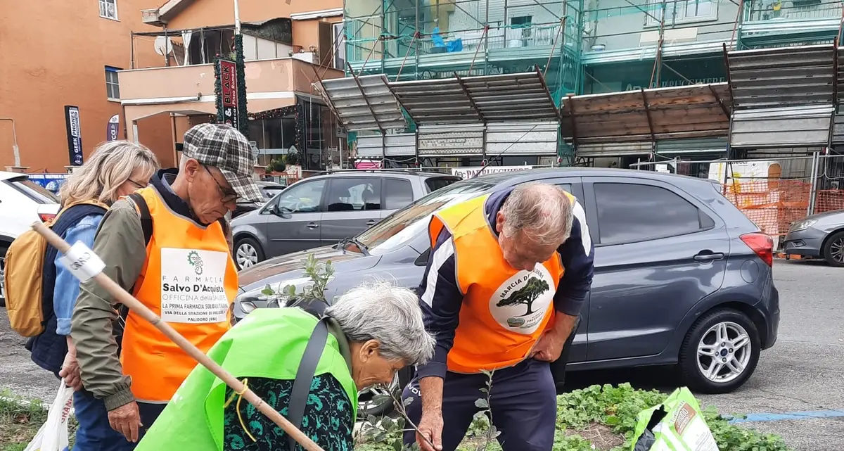 Nuove piante cresceranno: al via la 10° edizione della “Marcia degli alberi”