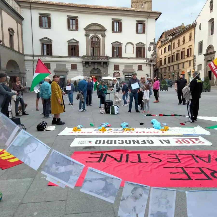 «Palestina, il Comune a guida Frontini non ha saputo prendere posizione»