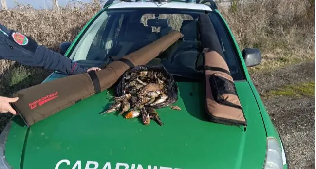 Viterbo: sparano a uccelli protetti, denunciati due cacciatori