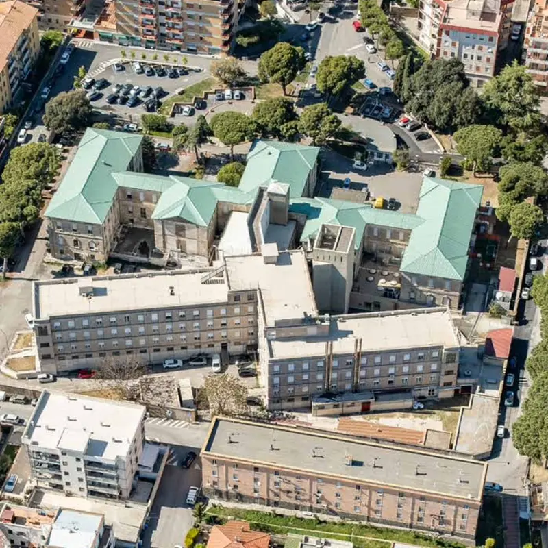 «Storni a Tarquinia, Sposetti: «Allo studio un piano di intervento che consenta di garantire sicurezza, decoro e salubrità delle zone intorno all’ospedale»
