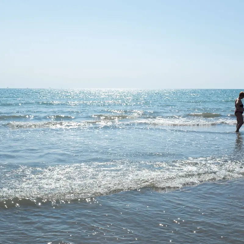 Alga tossica, scatta il divieto di balneazione