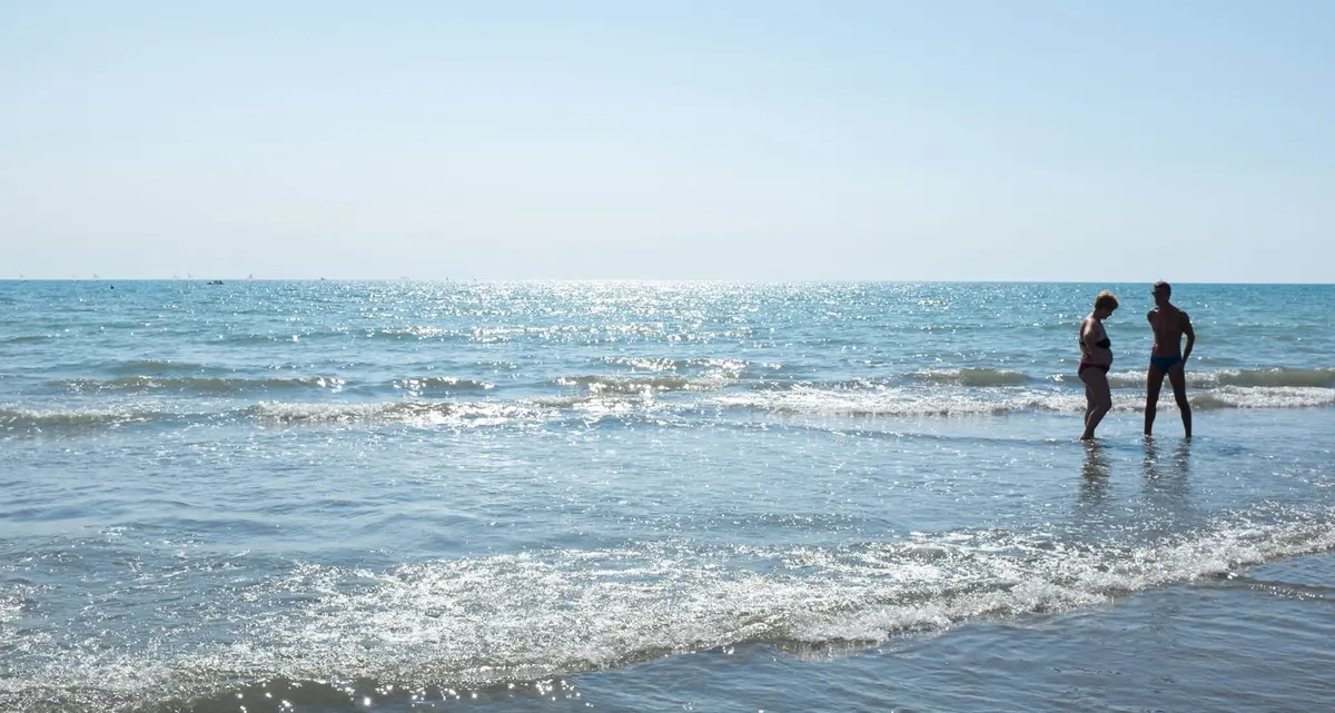 Alga tossica, scatta il divieto di balneazione