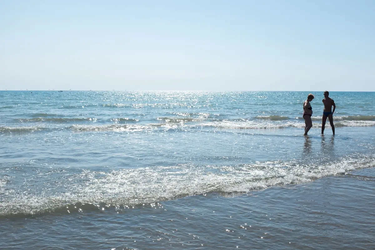 Alga tossica, scatta il divieto di balneazione
