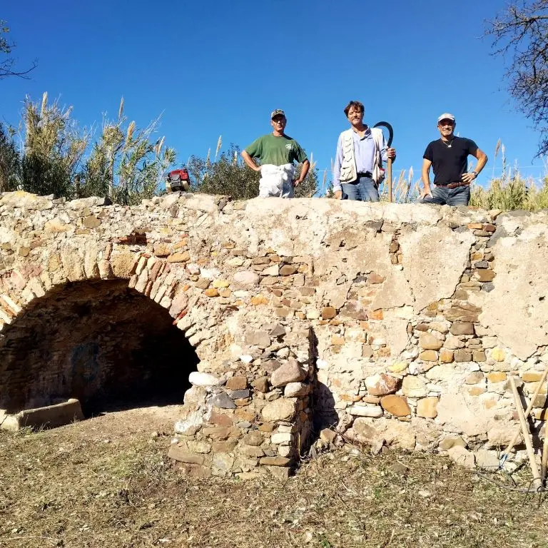 Celebrati i i venticinque anni di attività del Gruppo archeologico del territorio cerite