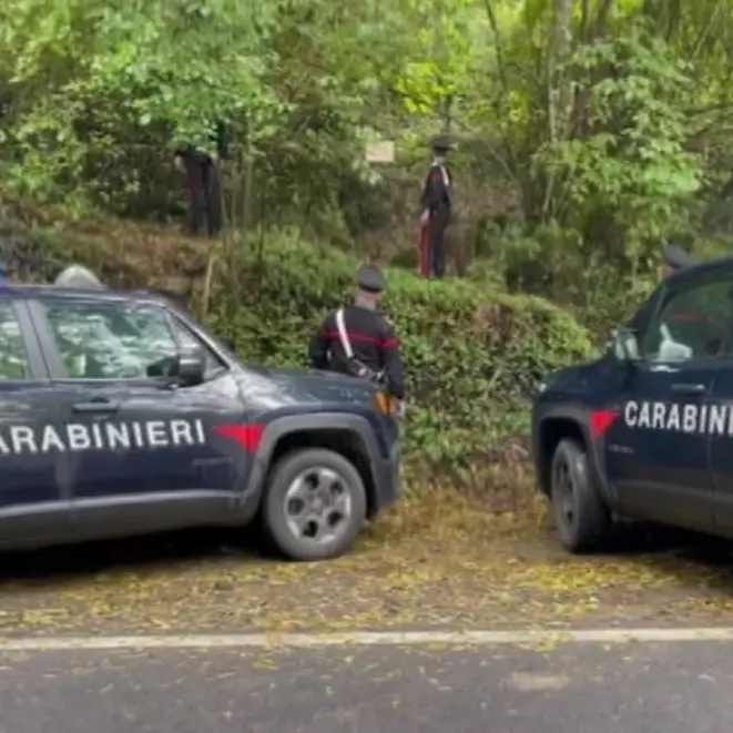 Smantellata piazza dello spaccio nei boschi