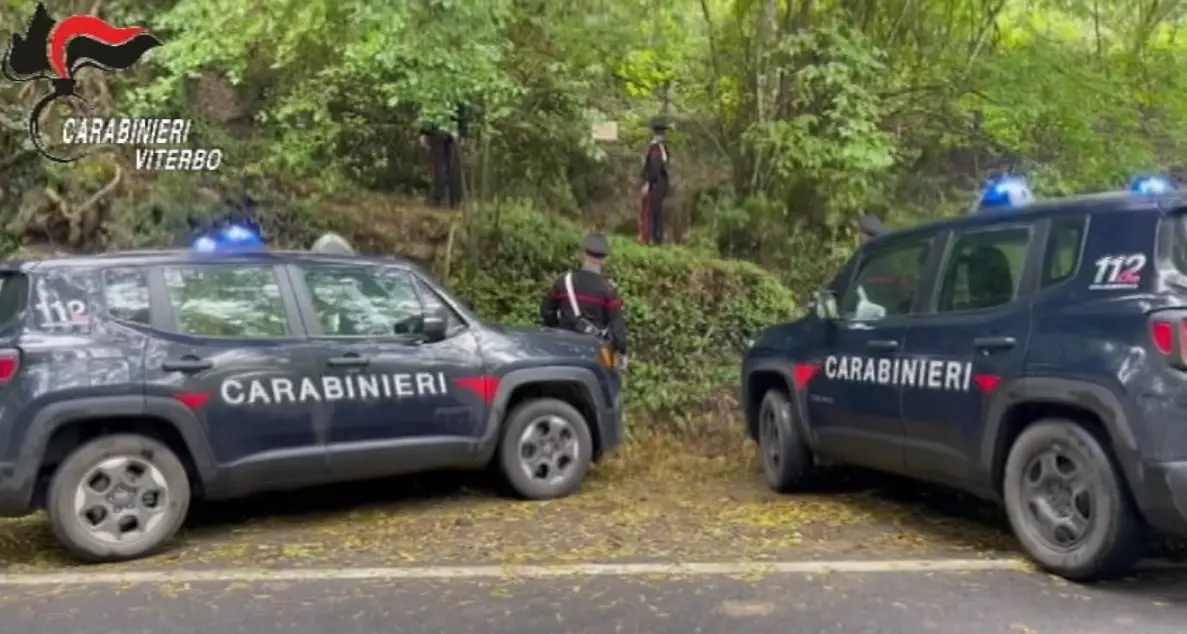 Smantellata piazza dello spaccio nei boschi