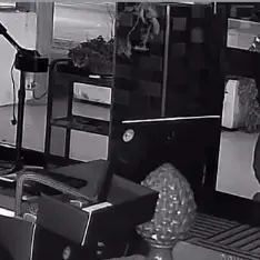 Viterbo: tenta un furto nel salone di parrucchieri