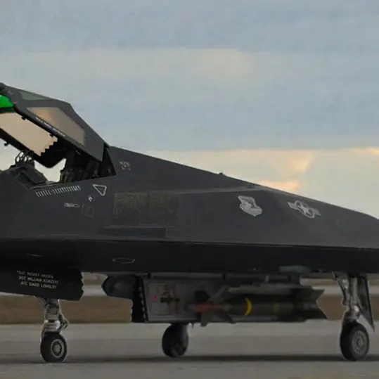 Il falco della notte