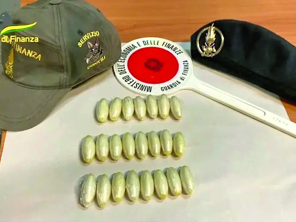 Sequestro di cocaina al porto di Civitavecchia