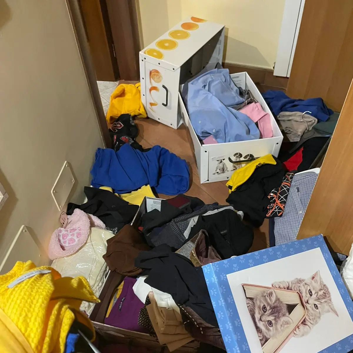 Ladri in azione a Tarquinia: svaligiata la casa di Memmo Ranucci