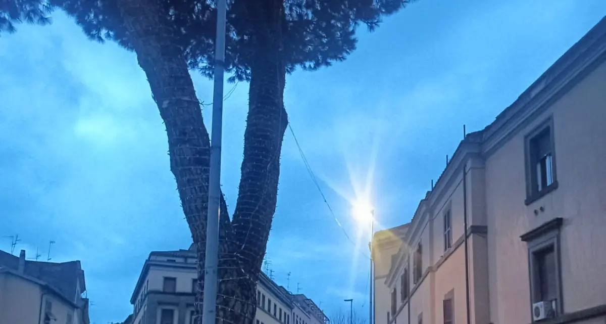 «Piazza Verdi buia da quattro mesi»