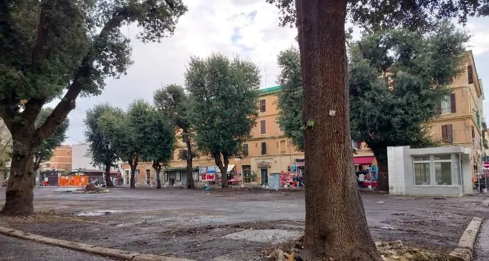 Mercato, tolta la tensostruttura restano solo gli alberi: Comitato all’attacco