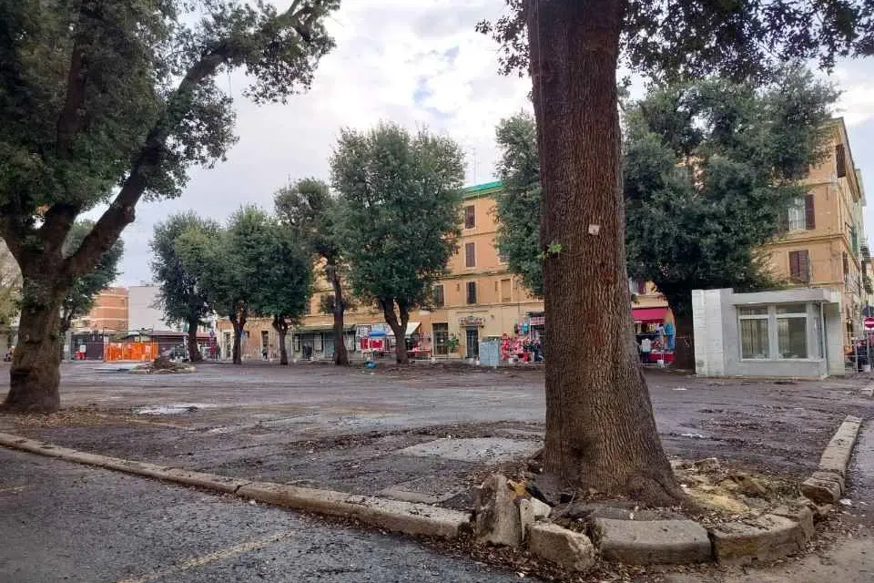 Mercato, tolta la tensostruttura restano solo gli alberi: Comitato all’attacco