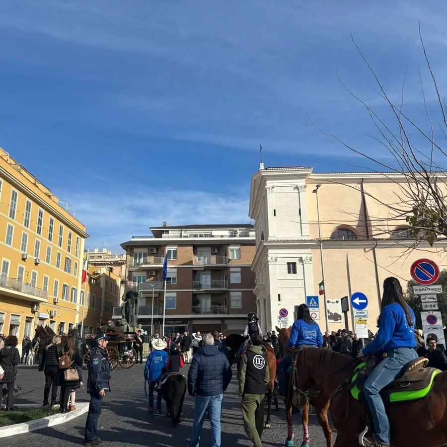 Benedizione degli animali: grande partecipazione