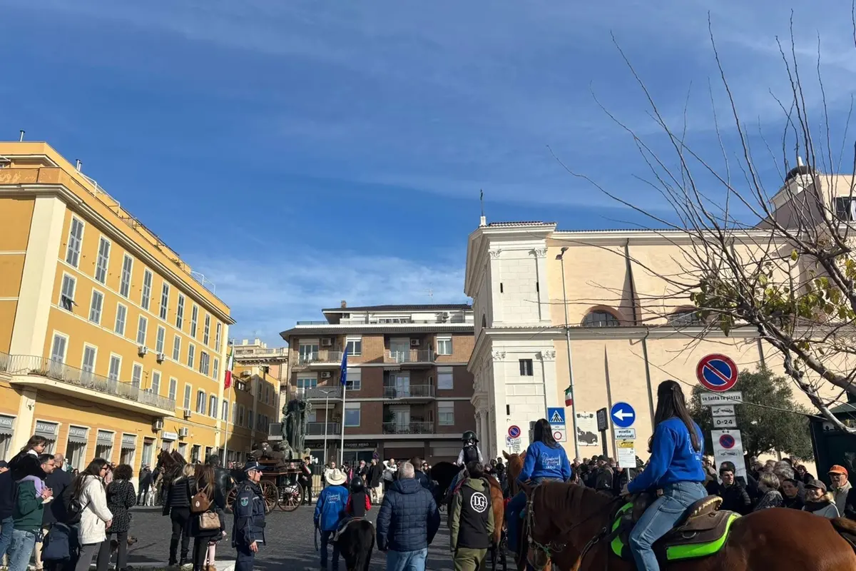 Benedizione degli animali: grande partecipazione