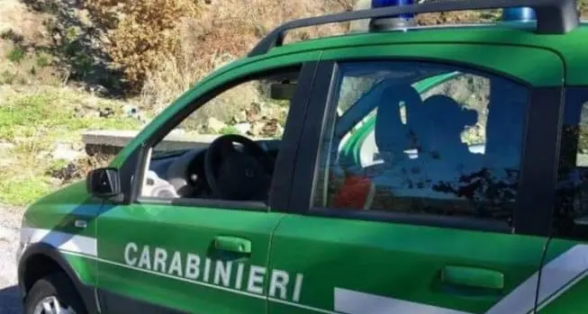 Incendi boschivi: identificati 70 piromani nella Tuscia