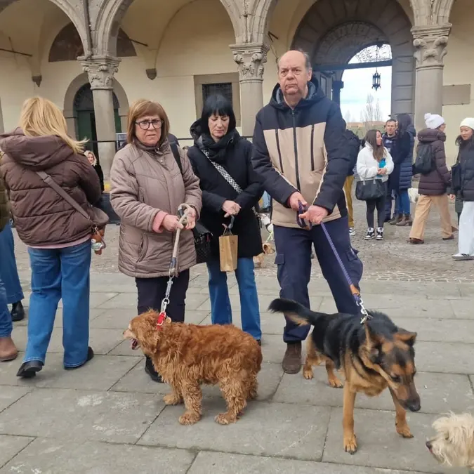 Viterbo: pienone per la benedizione degli animali