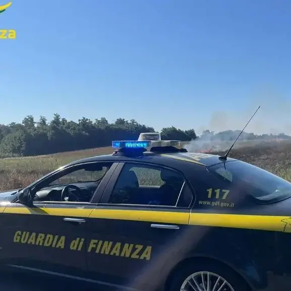 Cercano cocaina, trovano diamanti