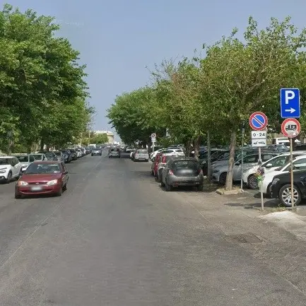 Via all’abbattimento di quattro alberi