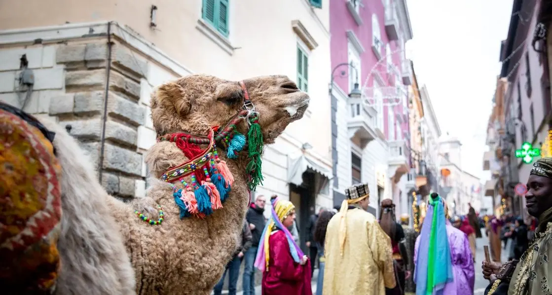 Presepe vivente Tarquinia, arrivano i re magi a dorso di cammello