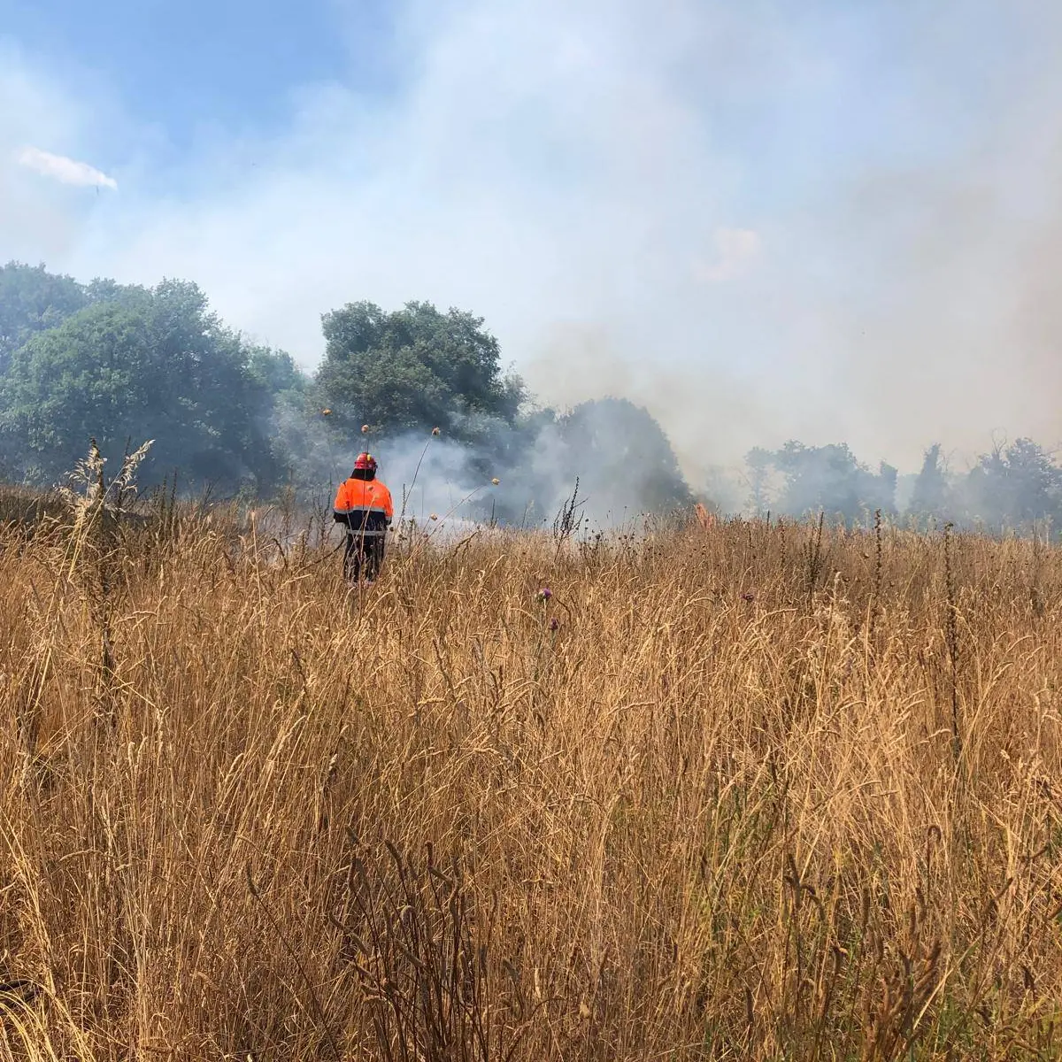 Vasto incendio in zona collinare a Monterosi