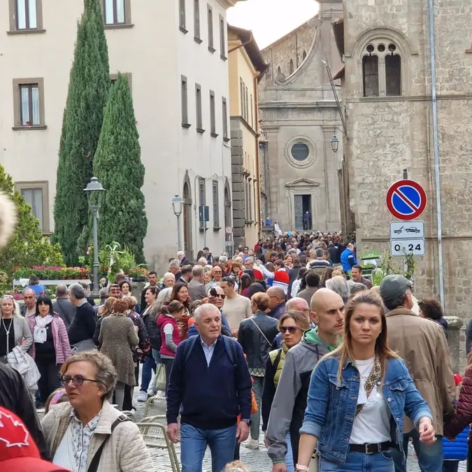 Frontini: «In tre anni turismo cresciuto del 30%»