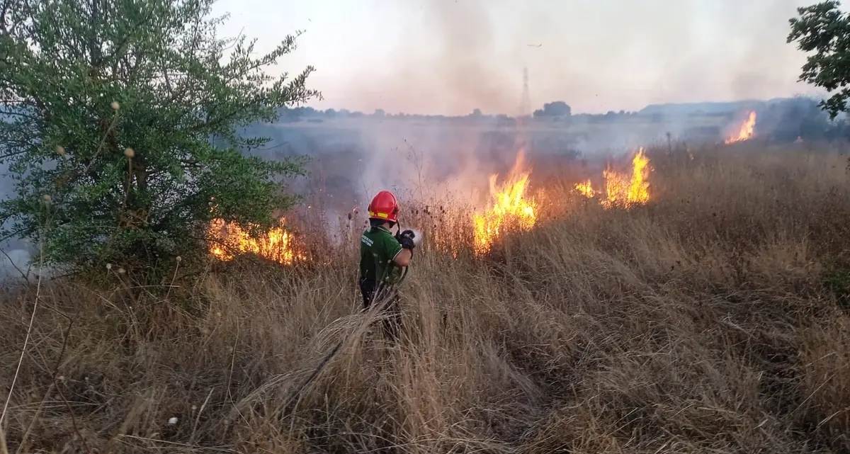 Tornano a bruciare le campagne di Blera, oggi altro vasto incendio