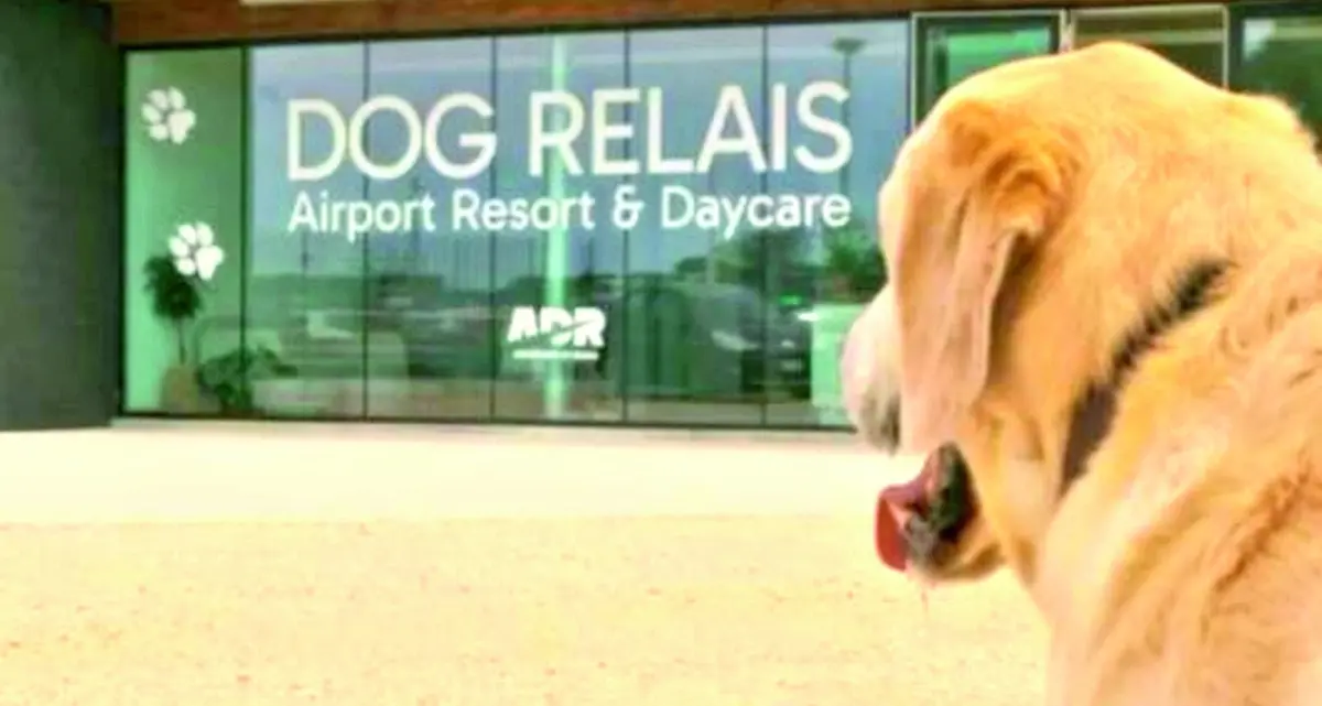 Dog relais all’aeroporto di Fiumicino Il primo asilo e pensione per cani