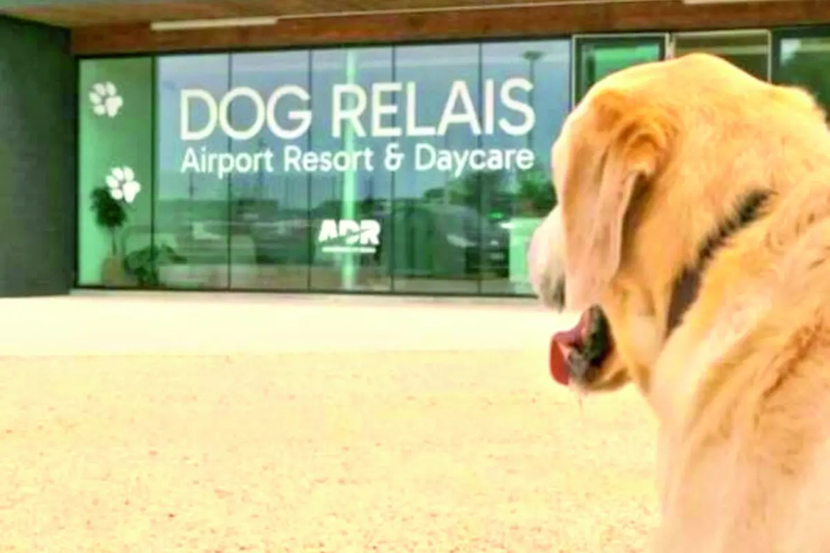 Dog relais all’aeroporto di Fiumicino Il primo asilo e pensione per cani