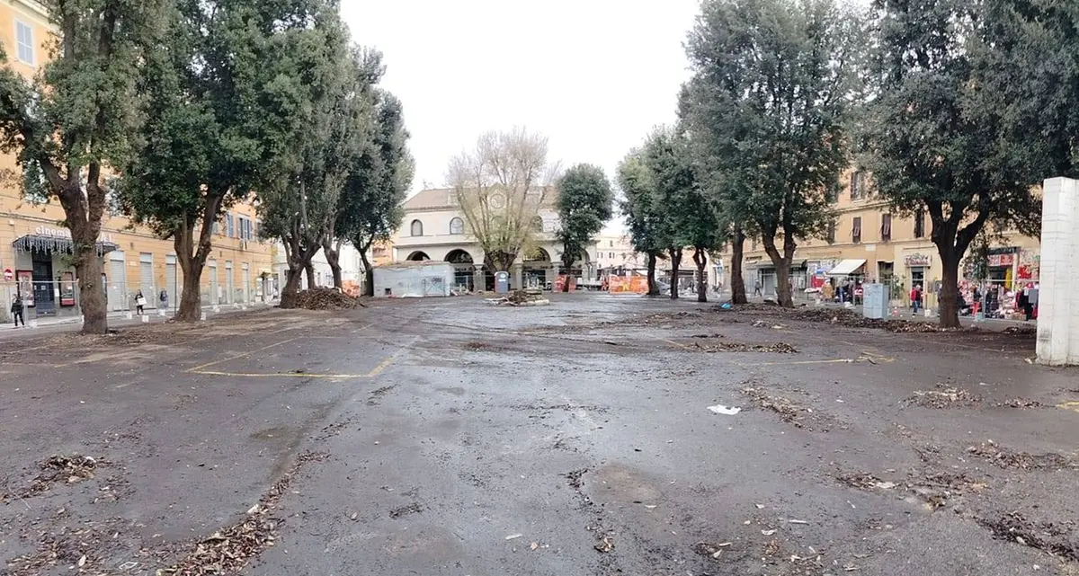 Mercato, scatta anche la raccolta firme