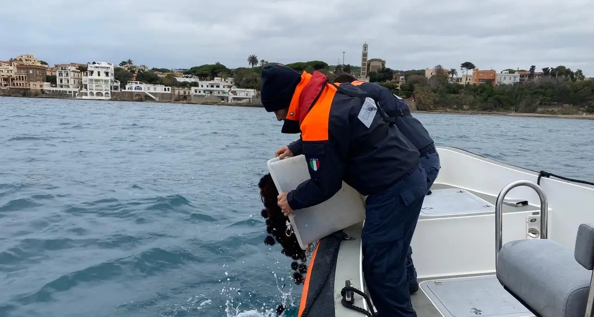 Pesca abusiva, sequestrati 80 kg di ricci di mare