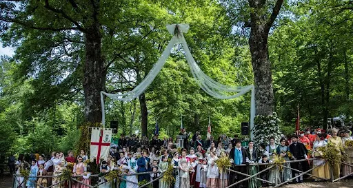 Tradizione e passione per il territorio: torna lo sposalizio dell’albero con il corteo storico da Montefogliano