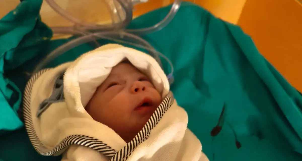 Il buongiorno e l’oroscopo del 27 Gennaio 2026