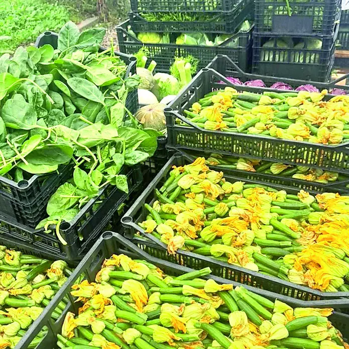 Aumentano le richieste di aiuto: la Misericordia riapre la distribuzione dei beni di prima necessità