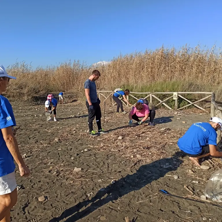 Torre Flavia, domani scatta il “Clean Up” in palude