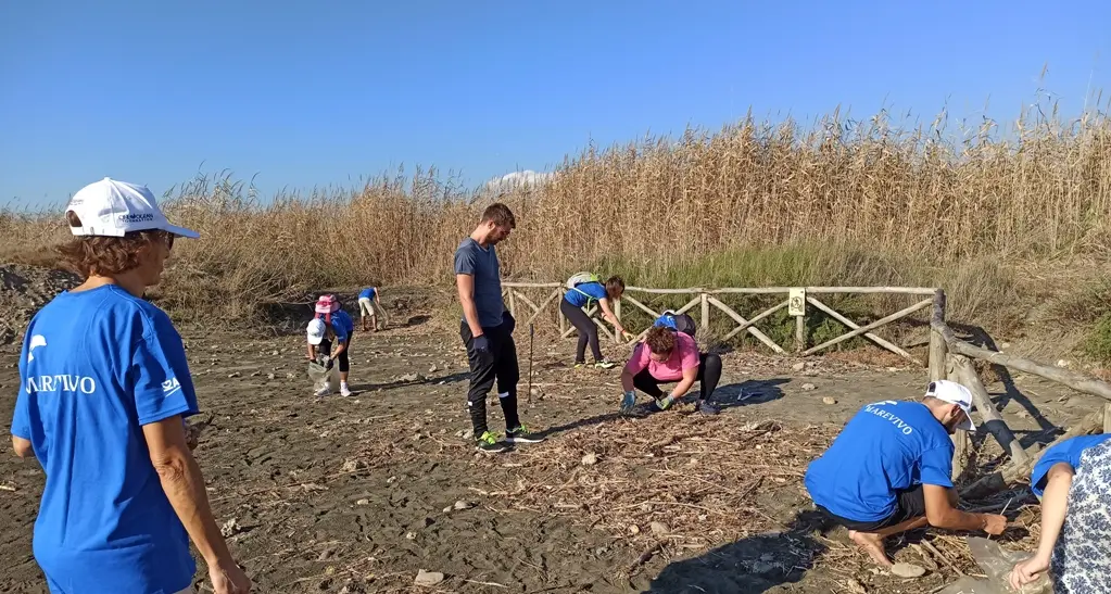 Torre Flavia, domani scatta il “Clean Up” in palude