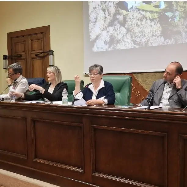 La rinascita di Trevinano tra cultura, arte e imprese