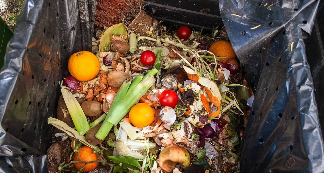 Viterbo sta predisponendo il Piano del cibo