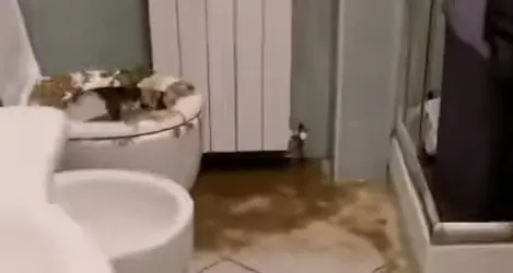 Una bomba d’acqua e si allaga casa: il dramma di una famiglia