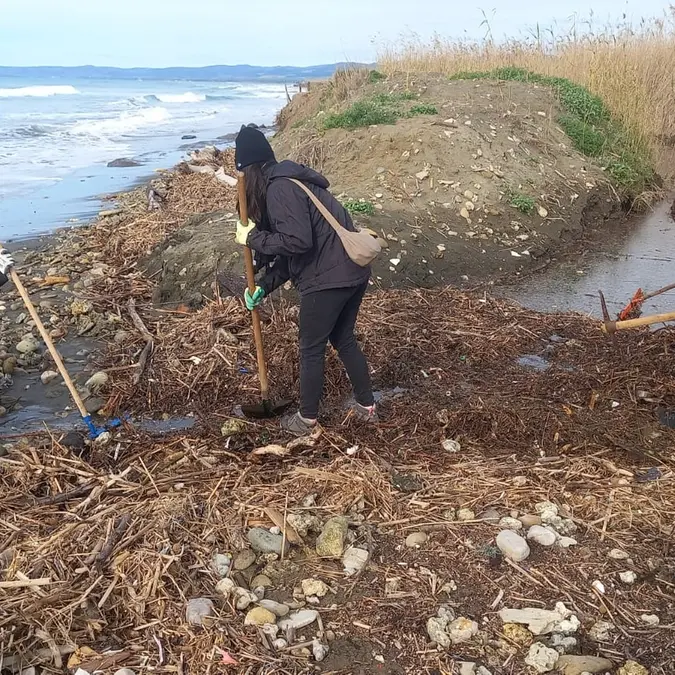 Palude nella morsa dell’erosione