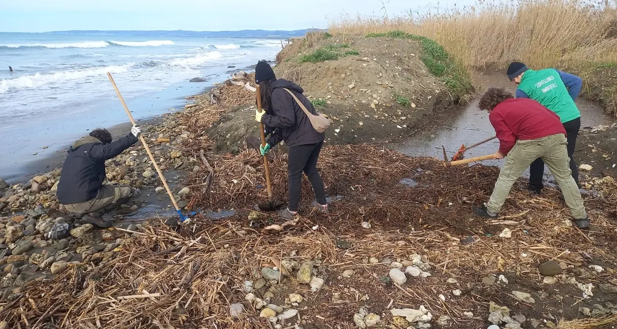 Palude nella morsa dell’erosione