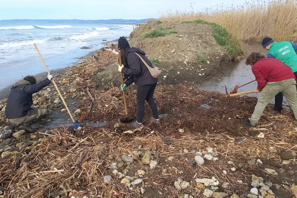 Palude nella morsa dell’erosione