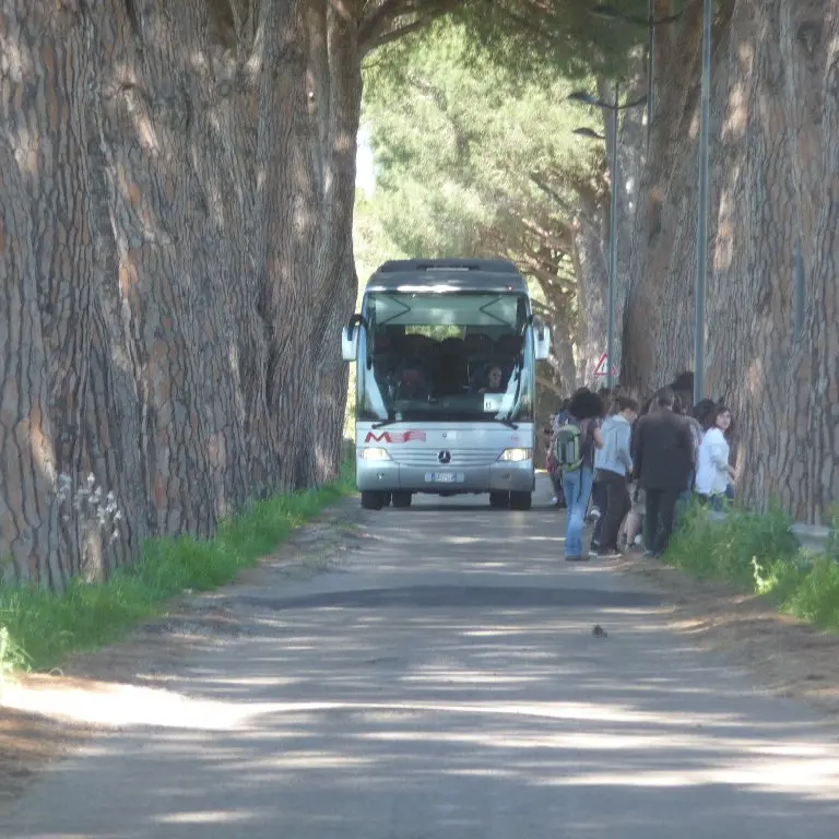 Potature sugli alberi, via della Necropoli chiusa 10 giorni