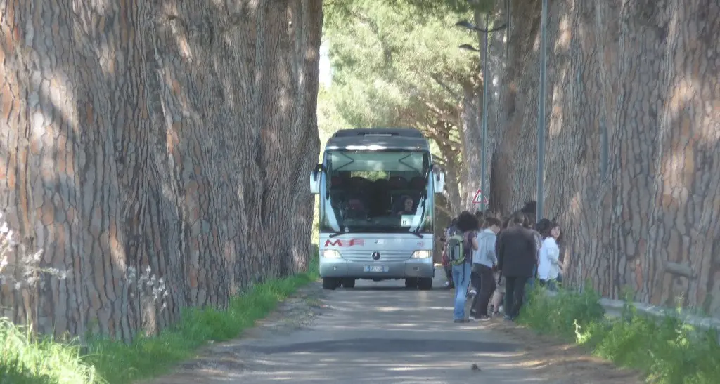 Potature sugli alberi, via della Necropoli chiusa 10 giorni