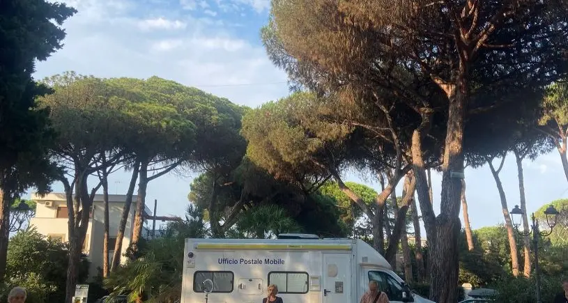 «Pini abbattuti per la sicurezza idrica e stradale. Intervento inevitabile»