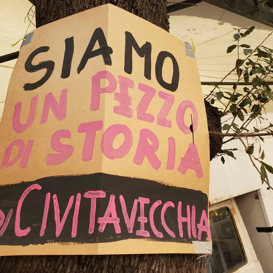 Mercato, si riaccende il dibattito sul futuro degli alberi