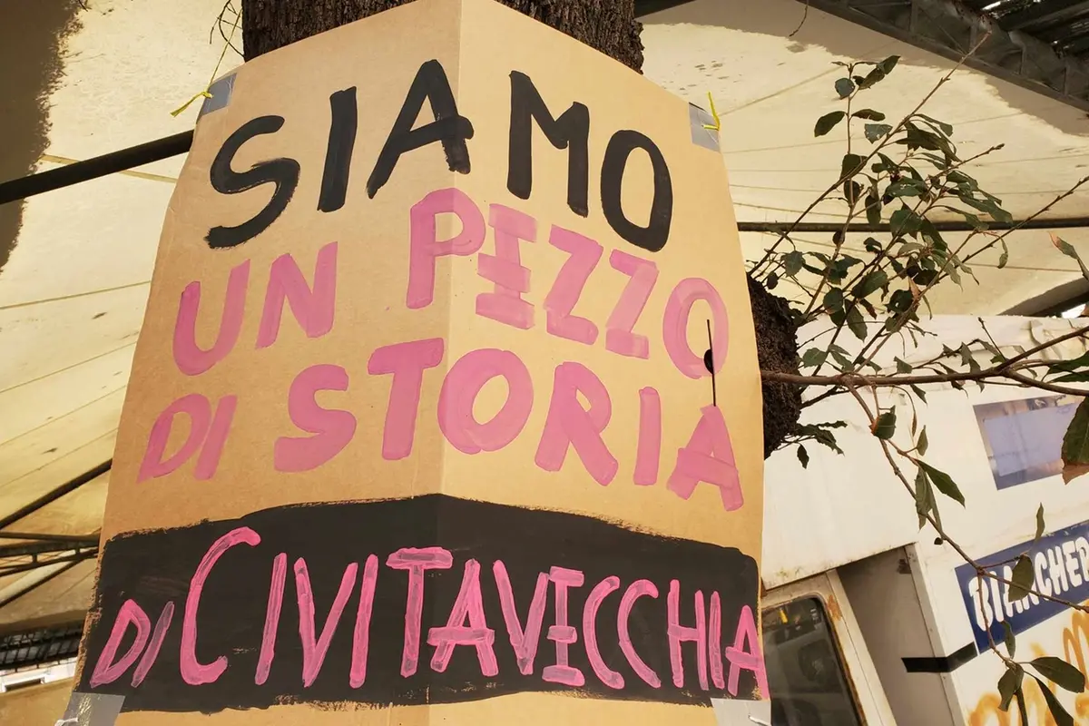 Mercato, scoppia il caso “alberi” e i commercianti aspettano